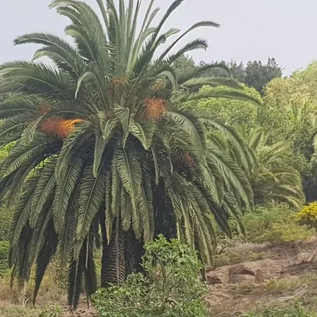 Dom wakacyjny La Gomera