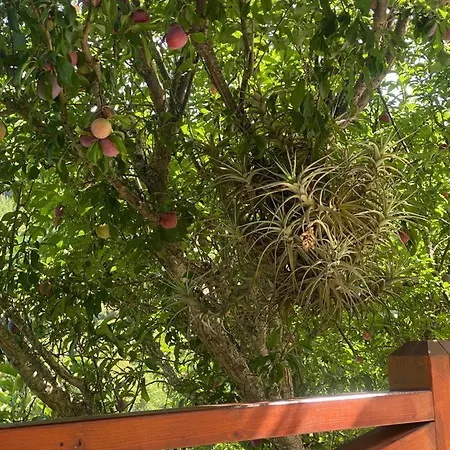 La Gomera Dom wakacyjny Agulo