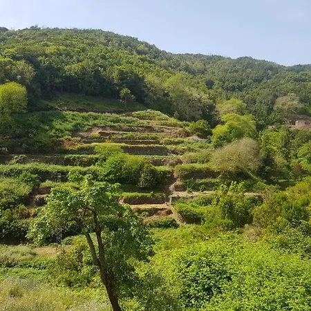 Dom wakacyjny La Gomera